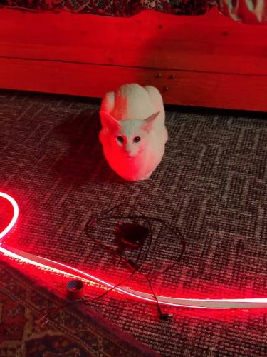 saieti-2020-okt-21-2